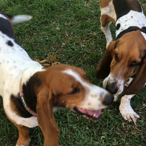 Hello friends! - Picture 8 of 16